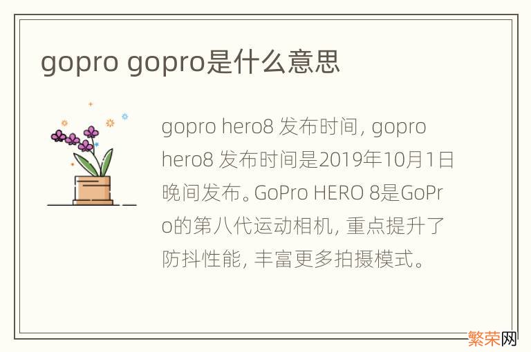 gopro gopro是什么意思