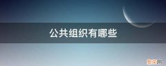 非政府公共组织有哪些 公共组织有哪些