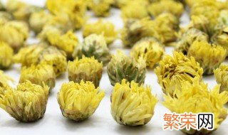 新疆胎菊怎么泡 胎菊怎么泡