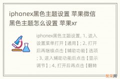 iphonex黑色主题设置 苹果微信黑色主题怎么设置 苹果xr