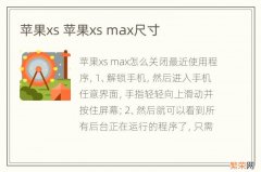苹果xs 苹果xs max尺寸