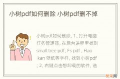 小树pdf如何删除 小树pdf删不掉