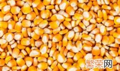 干玉米贮存方法 玉米穗如何储存