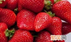 草莓的温度怎么控制 草莓温度控制方法