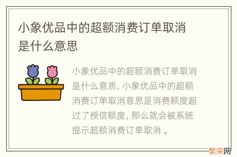 小象优品中的超额消费订单取消是什么意思