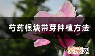 芍药根块带芽种植方法 芍药根块带芽种植方法是怎样的