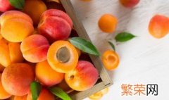 杏子和杏仁的区别是什么 杏子和杏仁有什么区别