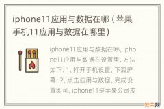 苹果手机11应用与数据在哪里 iphone11应用与数据在哪