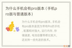 手机pro版与普通版本 为什么手机会有pro版本