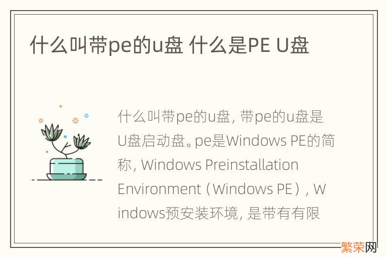 什么叫带pe的u盘 什么是PE U盘