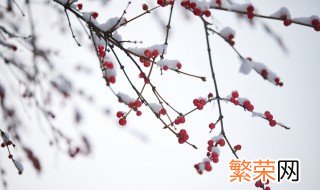 小雪节气禁忌 小雪节气有哪些禁忌