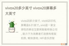 vivox20多少英寸 vivox20屏幕多大英寸