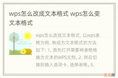 wps怎么改成文本格式 wps怎么变文本格式