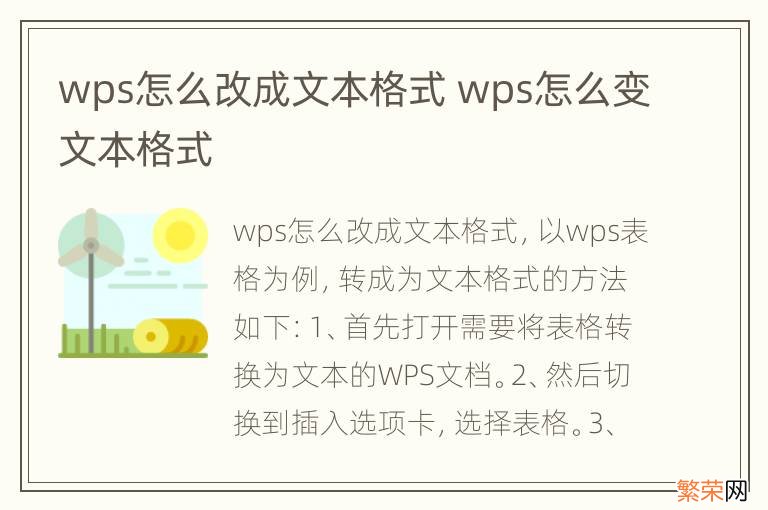 wps怎么改成文本格式 wps怎么变文本格式