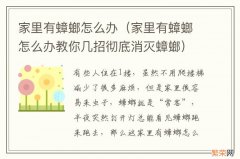 家里有蟑螂怎么办教你几招彻底消灭蟑螂 家里有蟑螂怎么办