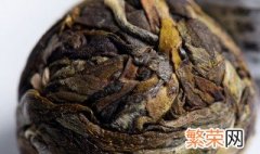 古树龙珠茶介绍 龙珠茶介绍