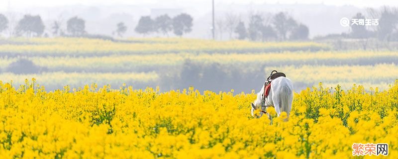 高淳是区还是县 高淳是什么地方