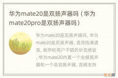 华为mate20pro是双扬声器吗 华为mate20是双扬声器吗