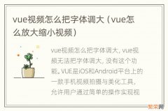 vue怎么放大缩小视频 vue视频怎么把字体调大