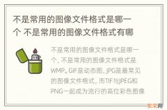 不是常用的图像文件格式是哪一个 不是常用的图像文件格式有哪些