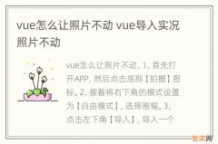 vue怎么让照片不动 vue导入实况照片不动