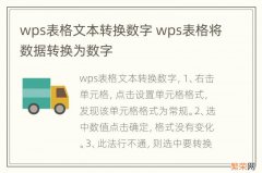 wps表格文本转换数字 wps表格将数据转换为数字