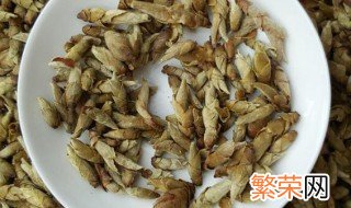 芽孢茶多久喝一次比较好 芽孢茶多久喝一次