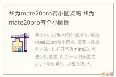 华为mate20pro有小圆点吗 华为mate20pro有个小圆圈