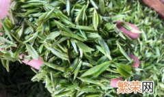 仙人掌茶的特点 仙人掌茶的功效