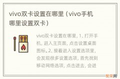 vivo手机哪里设置双卡 vivo双卡设置在哪里