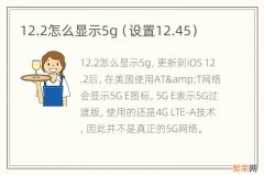 设置12.45 12.2怎么显示5g