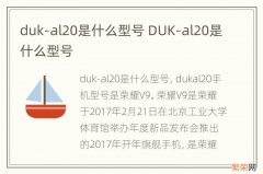 duk-al20是什么型号 DUK-al20是什么型号