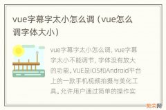 vue怎么调字体大小 vue字幕字太小怎么调