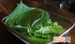 新鲜苏子叶可以冷冻保存吗 苏子叶能直接冷冻吗