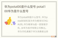 华为potal00是什么型号 potal100华为是什么型号