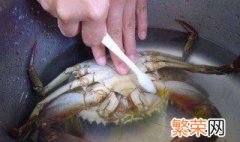 螃蟹要怎么清洗 螃蟹的清洗步骤介绍