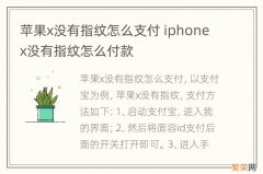 苹果x没有指纹怎么支付 iphonex没有指纹怎么付款