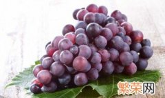 葡萄放到冰箱保存多久 葡萄放冰箱里能保存多久