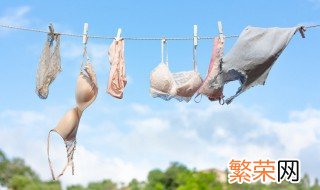 乳胶内衣如何清洗? 乳胶内衣如何清洗消毒