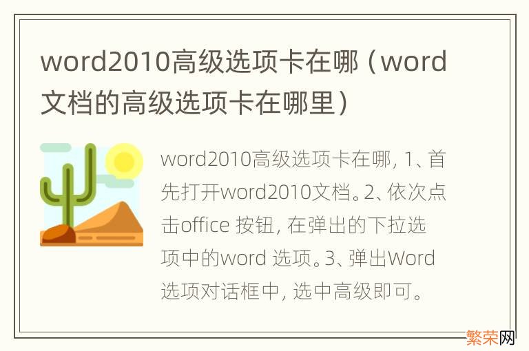 word文档的高级选项卡在哪里 word2010高级选项卡在哪