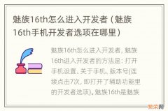 魅族16th手机开发者选项在哪里 魅族16th怎么进入开发者