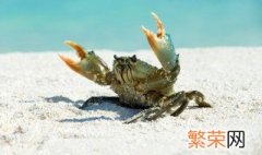 醉蟹腌多久寄生虫会死 醉蟹腌多久寄生虫会死人