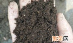 草炭土制作方法 制作草炭土的方法