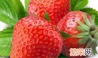 草莓什么季节 草莓是什么季节的水果