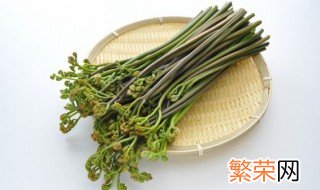 新鲜蕨菜怎么保存一周 新鲜蕨菜怎么保存