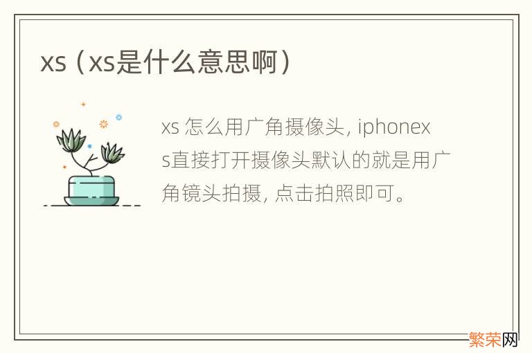 xs是什么意思啊 xs