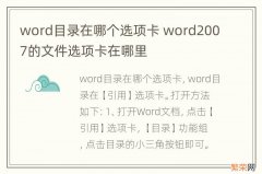 word目录在哪个选项卡 word2007的文件选项卡在哪里