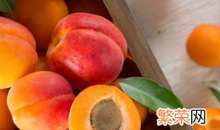 杏树种植的方法和技巧 杏树种植的方法以及技巧