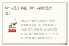 linux到底是什么 linux是干嘛的