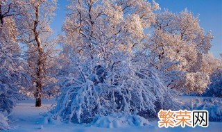 形容冬天的风和雪 描写冬天风和雪的句子有哪些